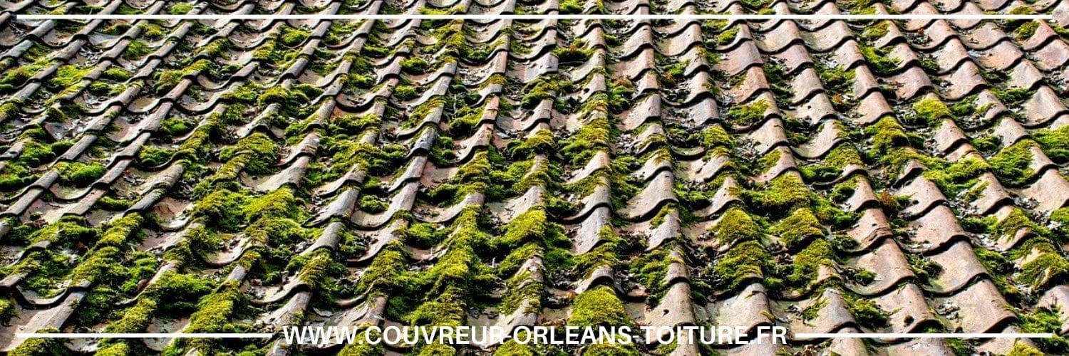 démoussage de toiture Pithiviers-le-Vieil