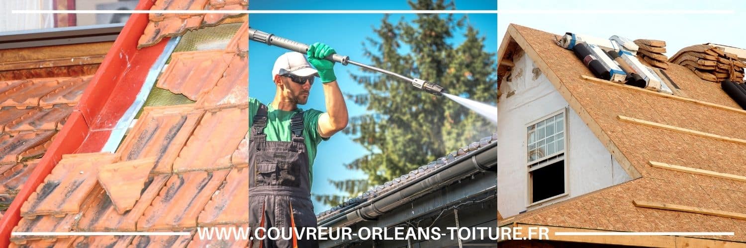 nettoyage et démoussage de toiture à Chilleurs-aux-Bois